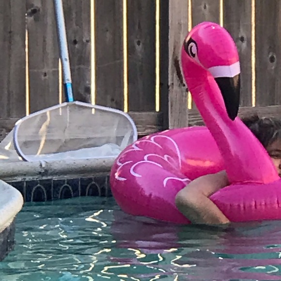 Meet your Posher, Rocio - Picture 1 of 1